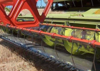 Масштабна афера на Тернопільщині: підприємець втратив понад пів мільйона гривень