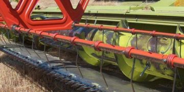 Масштабна афера на Тернопільщині: підприємець втратив понад пів мільйона гривень