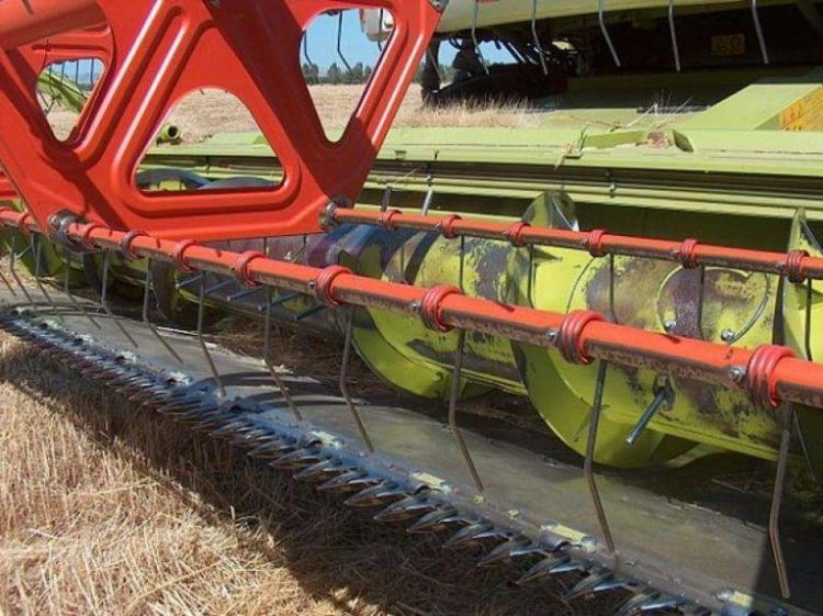 Масштабна афера на Тернопільщині: підприємець втратив понад пів мільйона гривень