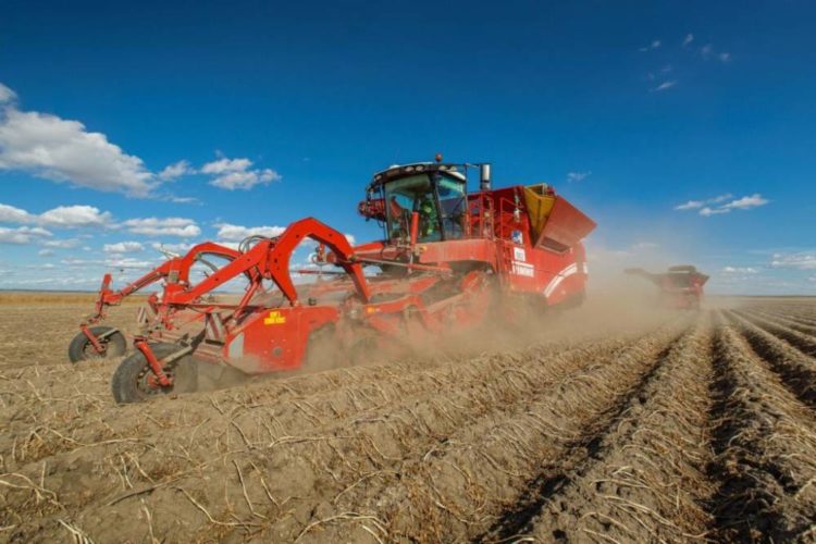 У «Контінентал Фармерз Груп» друга хвиля жнив