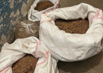 Правоохоронці Тернопільщини виявили понад 5 тисяч пачок сигарет, які були без акцизу