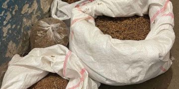 Правоохоронці Тернопільщини виявили понад 5 тисяч пачок сигарет, які були без акцизу