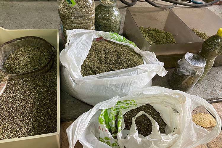 Назавжди 18: в Гусятинській громаді прощаються з Героєм Радомиром Олійником