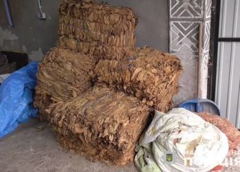 Понад 1000 кілограмів тютюну: на Тернопільщині виявили підпільне виробництво підакцизних товарів