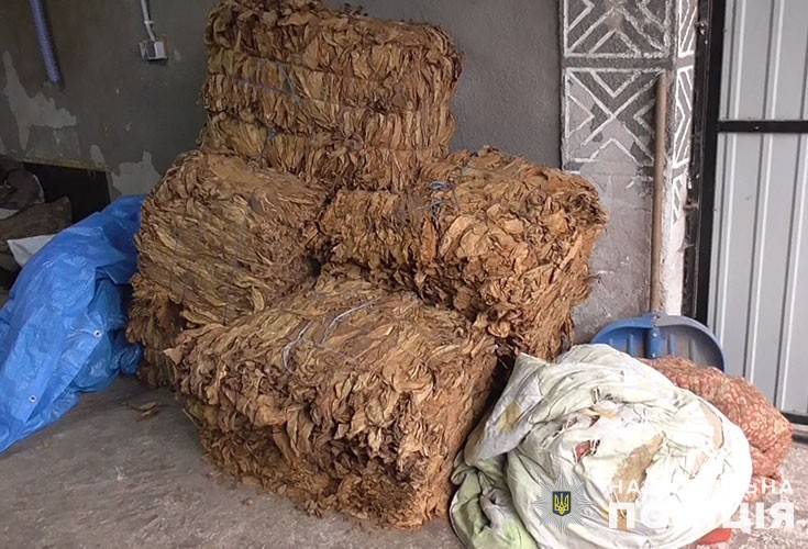Понад 1000 кілограмів тютюну: на Тернопільщині виявили підпільне виробництво підакцизних товарів