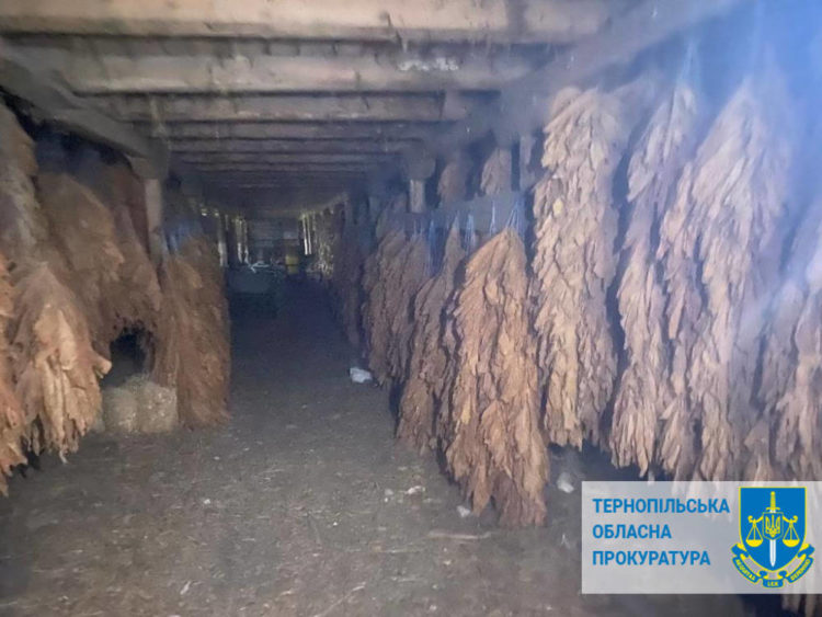 На Тернопільщині затримали сімох осіб, які організували підпільний цех з виробництва сигарет