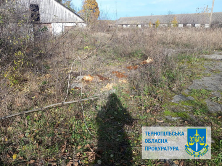 На території колишньої ферми в Кременецькому районні виявили хімікати, що забруднювали землю