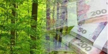 Майже 200 тисяч гривень штрафу: на Тернопільщині суд покарав лісника, який незаконно зрубував дерева