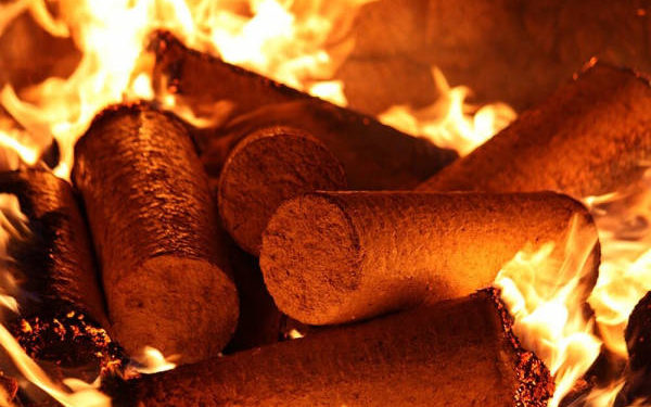 Під час масштабної пожежі в Заліщицькій громаді згоріло понад 300 кілограмів паливних брикетів