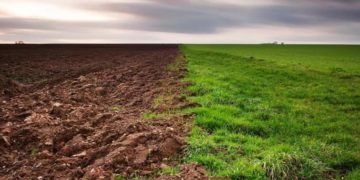 Голова сільської ради на Тернопільщині підробляв документи та незаконно роздавав землю односельцям