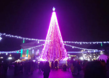 Стало відомо чи будуть цього року встановлювати головну ялинку міста