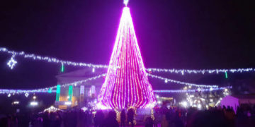 Стало відомо чи будуть цього року встановлювати головну ялинку міста