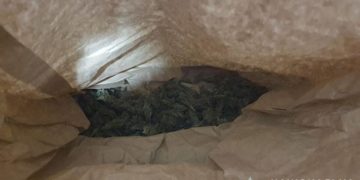 36-річний чоловік з Великоберезовицької громади може отримати 5 років ув’язнення за зберігання канабісу