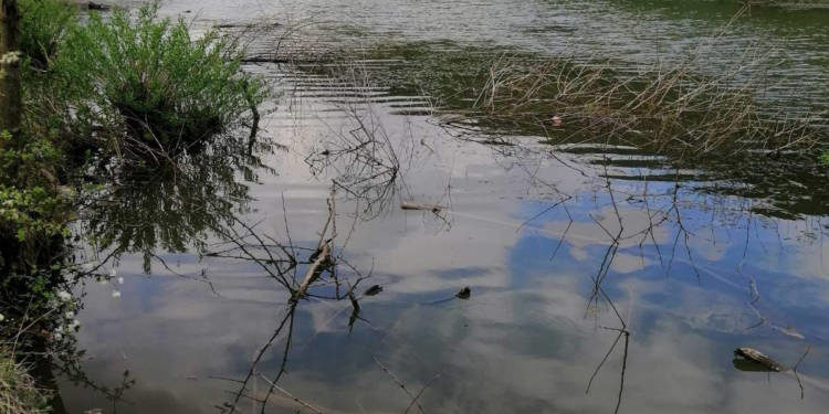 Бучацька прокуратура намагається повернути громаді землю вартістю понад 400 мільйонів гривень