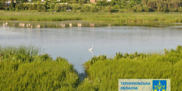 Тернопільський суд повернув державі 10 гектарів земель “Серетського” заказника