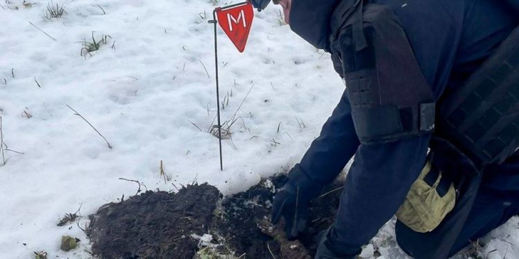У двох громадах Тернопільщини виявили вибухонебезпечні предмети
