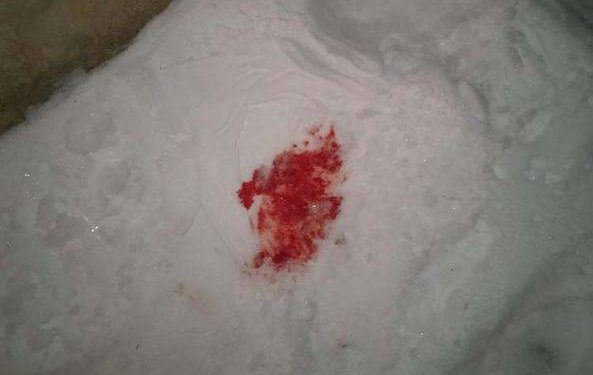 У Бучацькій громаді чоловік вдарив ножем власного племінника