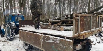 У заповіднику на Тернопільщині затримали чоловіка, який намагався вкрасти деревину
