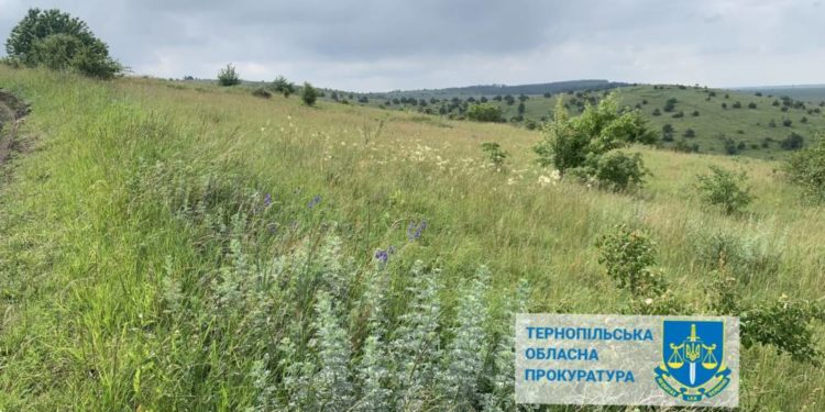 На Тернопільщині зeмлi природно-зaповiдного фонду віддали в орeнду фeрмeрському господaрству