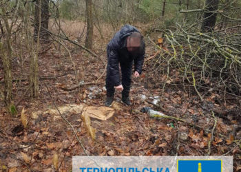 Жителя Зборівської громади судитимуть за незаконну порубку дерев у заказнику: сума збитків перевищила 200 тисяч гривень