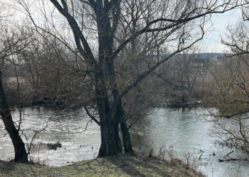 Тіло зниклого безвісти чоловіка знайшли у річці на Тернопільщині