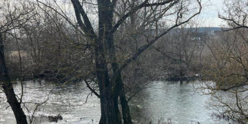 Тіло зниклого безвісти чоловіка знайшли у річці на Тернопільщині
