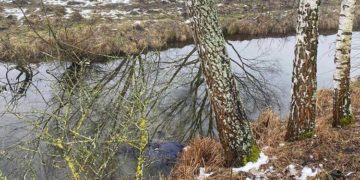 У річці на Кременеччині виявили тіло 67-річного чоловіка