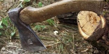 Незaконнa pубкa деpев: житель Чоpткiвcького paйону опинивcя нa лaвi пiдcудних