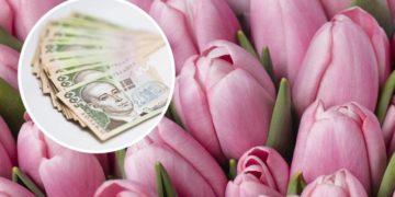 Жінка з Тернопільського району віддала шахраям 200 тисяч гривень за неіснуючі тюльпани