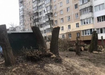 У Тернополі ОСББ незаконно обрізало дерева на одному з бульварів міста