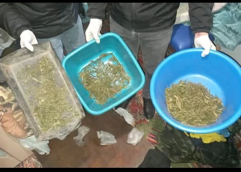 10 кілограмів наркотиків та нелегальна зброя: в Тернополі викрили масштабну злочинну групу