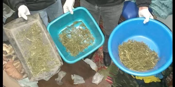 10 кілограмів наркотиків та нелегальна зброя: в Тернополі викрили масштабну злочинну групу