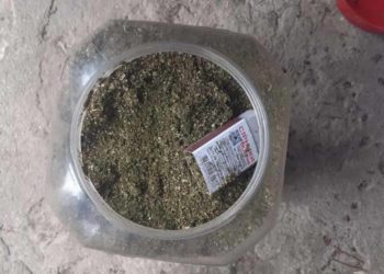 “Бізнес” на канабісі: у Чортківському районі затримали двох наркоторговців