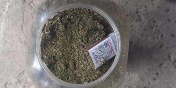 “Бізнес” на канабісі: у Чортківському районі затримали двох наркоторговців