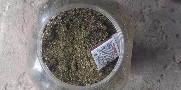 “Бізнес” на канабісі: у Чортківському районі затримали двох наркоторговців