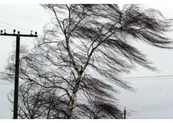 Негода наробила лиха на Тернопільщині: майже 40 населених пунктів залишилися без електропостачання