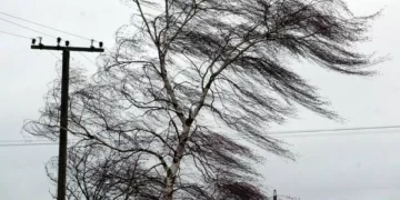Негода наробила лиха на Тернопільщині: майже 40 населених пунктів залишилися без електропостачання