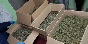 Тернопільські поліцейські ліквідували канал збуту наркотиків та викрили наркопритон в гаражі директора охоронної фірми