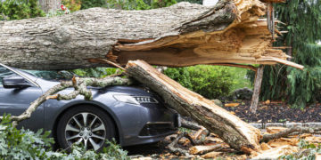 Чоловік відсудив понад 80 тисяч гривень у міської ради Тернополя
