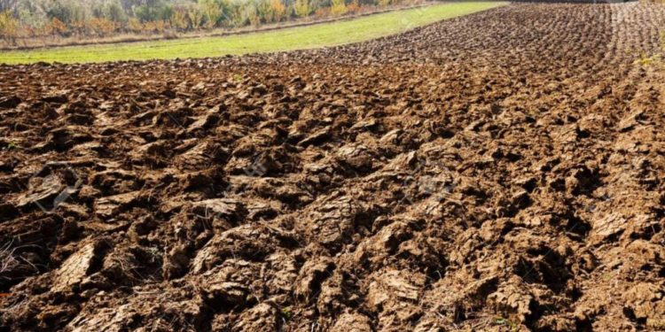 Суд повернув Кременецькій громаді землю вартістю майже 7 мільйонів гривень