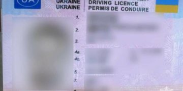 В Підволочиську затримали водія з підробленими документами