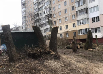 ОСББ в Тернополі заплатить понад 20 тисяч гривень штрафу за незаконну вирізку дерев