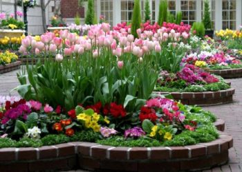 Під час війни у Борщівській громаді вирішили закупити “квітів для клумб” майже на 200 тисяч гривень