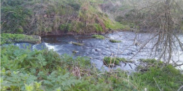 Тіло зниклого безвісти чоловіка знайшли біля річки на Тернопільщині
