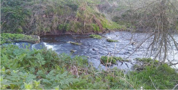 Тіло зниклого безвісти чоловіка знайшли біля річки на Тернопільщині