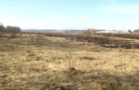 Суд Тернопільщини забрав в орендаря 120 гектарів землі та повернув її у власність двох громад