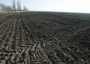 Лановецький суд конфіскували землю у громадянина рф та повернув у власність держави