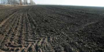 Лановецький суд конфіскували землю у громадянина рф та повернув у власність держави