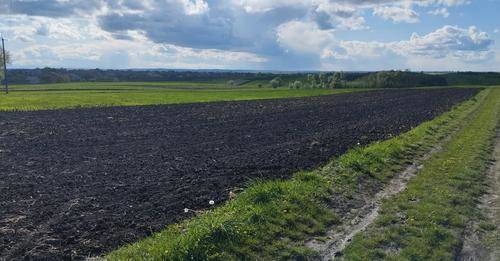 72-річну жительку Золотопотіцької громади знайшли мертвою посеред поля