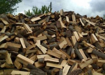 Тернопільські лісгоспи відмовляються надавати дрова родинам загиблих воїнів